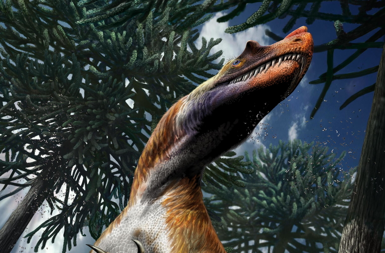 Come Si Chiama Il Dinosauro Che Vola