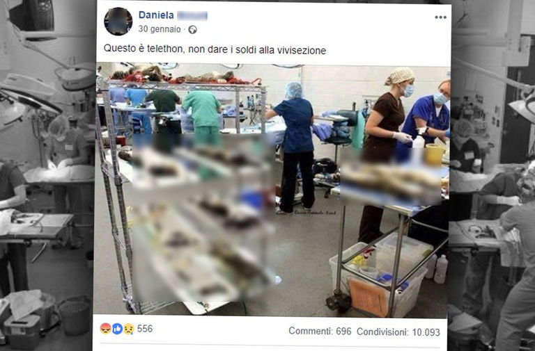 elenco di malattie rare negli Stati Uniti elenco di malattie rare negli Stati Uniti