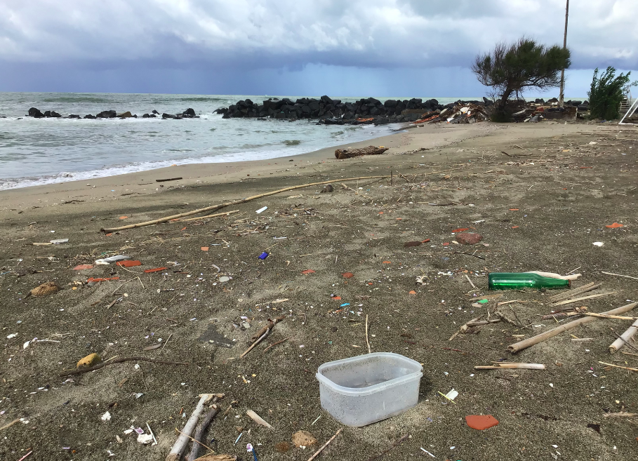 La spiaggia di Coccia di Morto, Fiumicino/Legambiente