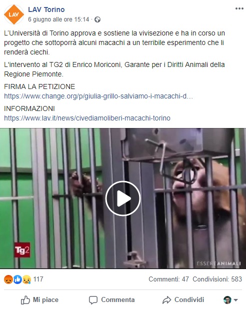 Le Bufale Sulla Sperimentazione Animale E La Caccia All Uomo Dell Associazione Freccia 45 Open