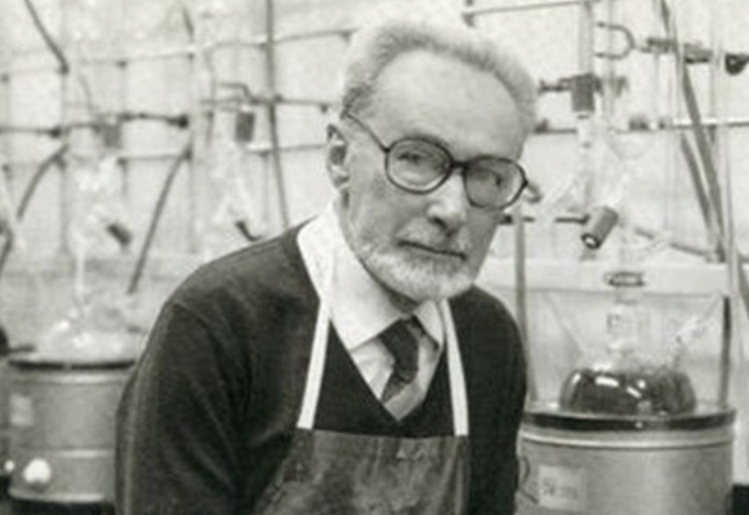 Cento anni fa nasceva Primo Levi così la chimica gli salvò la vita ad Auschwitz Open