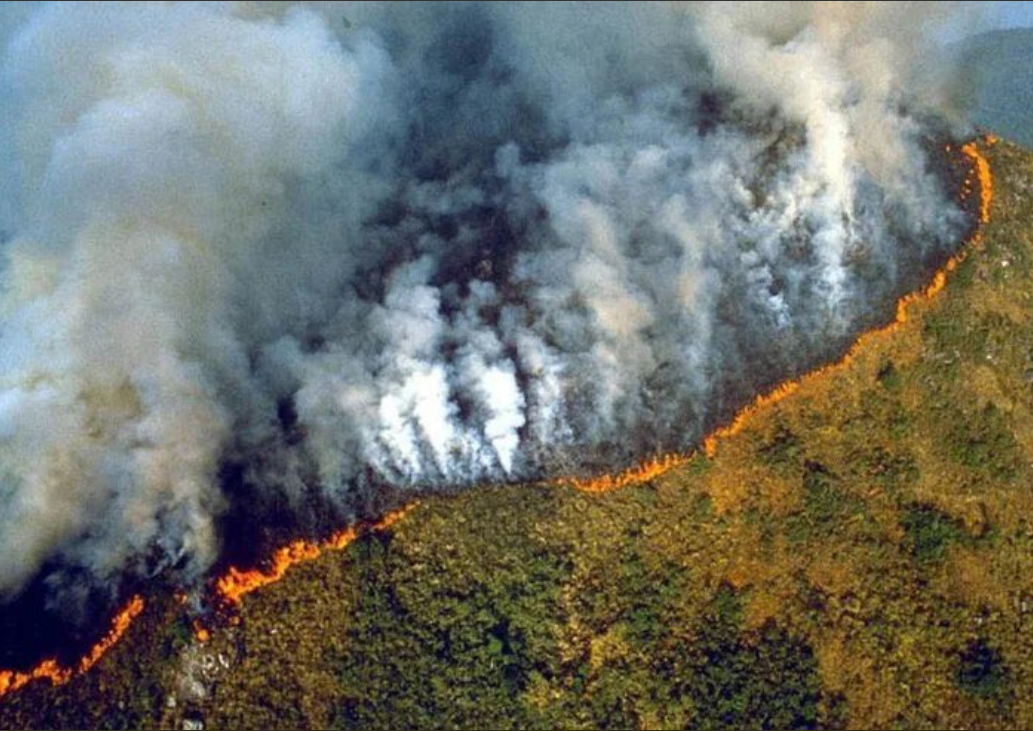 L Amazzonia Va A Fuoco Le Immagini Del Disastro Che Preoccupa Il Mondo Open