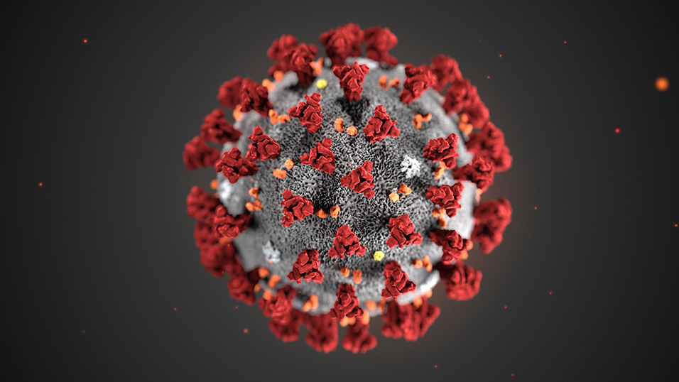 Risultato immagini per coronavirus"