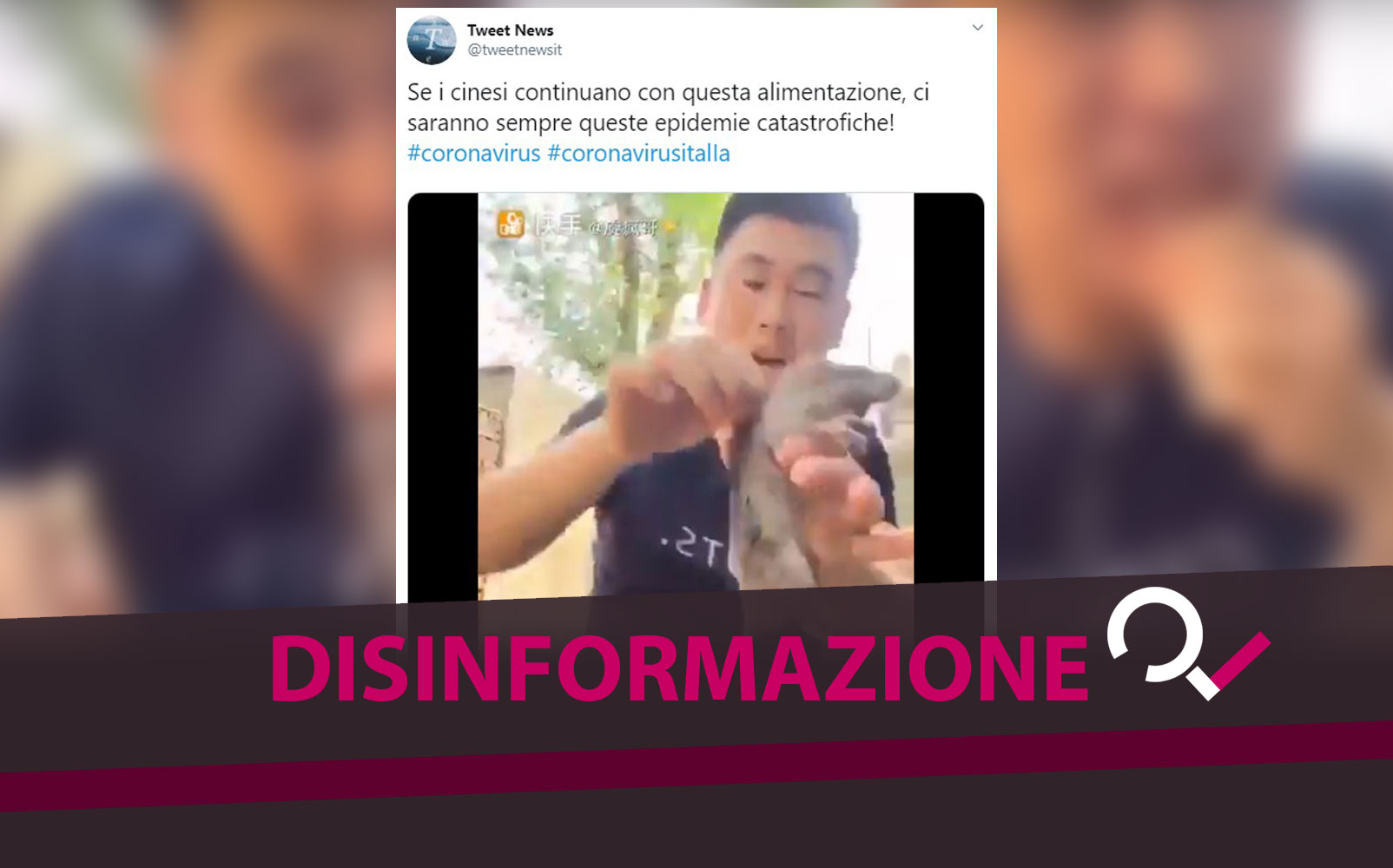 E Vero Che I Cinesi Mangiano I Topi