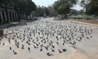 Efforts to prevent the spread of coronavirus in India Piccioni a Connaught Place, uno degli hub finanziari di New Delhi, India, 24 marzo 2020. EPA/HARISH TYAGI