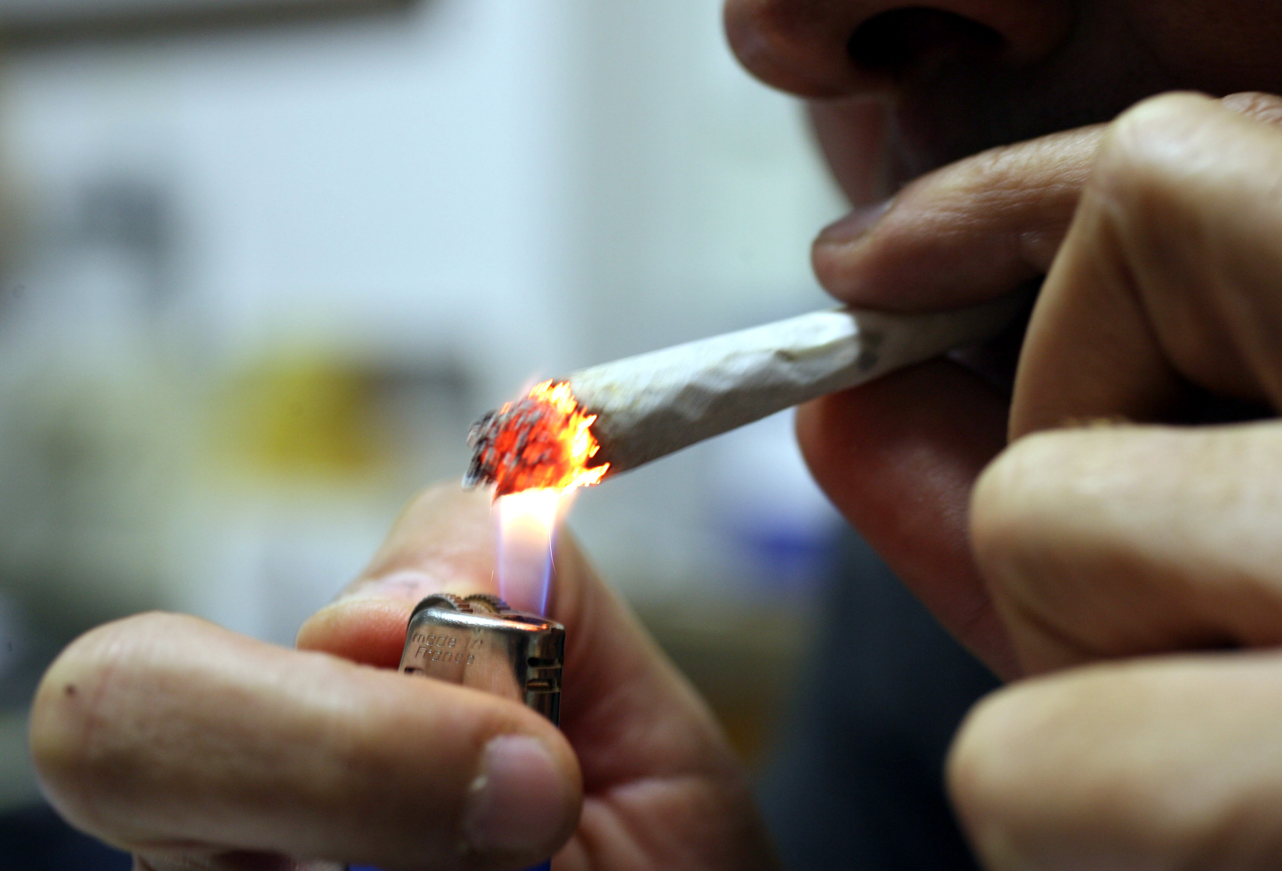 Cannabis light, boom di vendite. Tra i clienti anche molti 80enni: «Mandano le loro badanti» – L’intervista Cannabis light, boom di vendite. Tra i clienti anche molti 80enni: «Mandano le loro badanti» – L’intervista