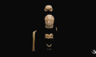 scoperta-uomini-neanderthal-grotta-guattari-circeo03 Ufficio Stampa Mic / Emanuele Antonio Minerva | Scoperti i resti di 9 uomini di Neanderthal al Circeo