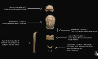 scoperta-uomini-neanderthal-grotta-guattari-circeo04 Ufficio Stampa Mic / Emanuele Antonio Minerva | Scoperti i resti di 9 uomini di Neanderthal al Circeo